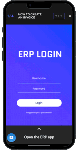 accounting erp